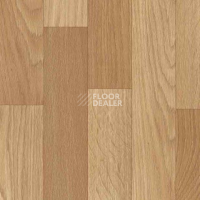 Линолеум Juteks Global Dalton 3402 фото 1 | FLOORDEALER